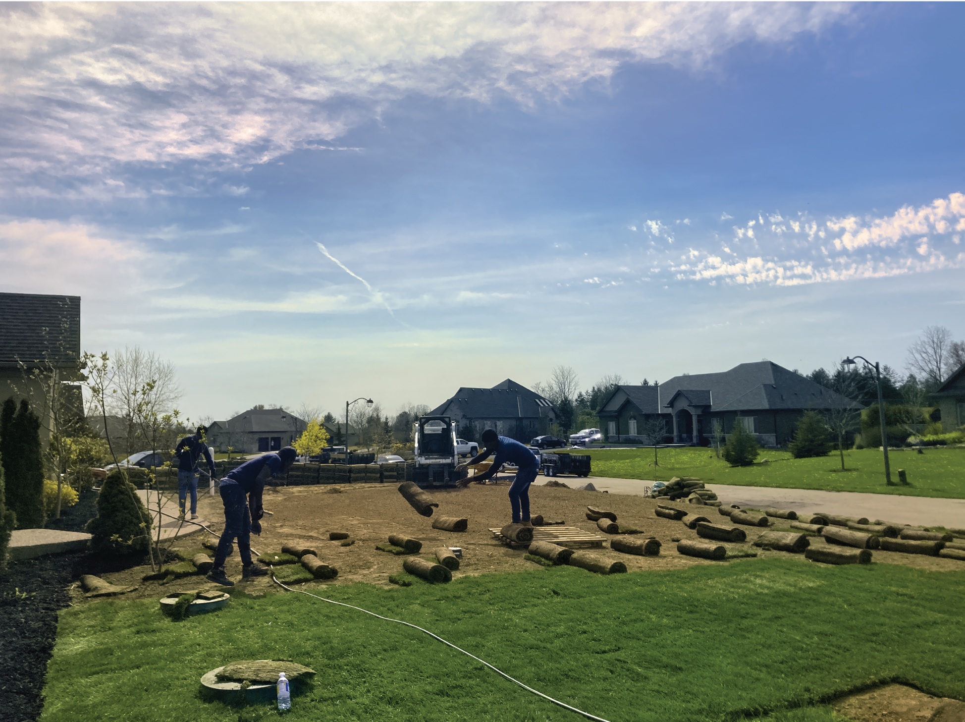 Sod Installation